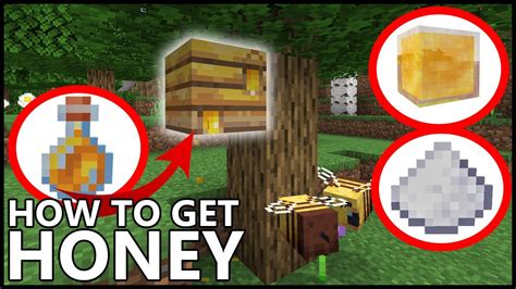 How Do You Get Honey in Minecraft? A Detailed Exploration