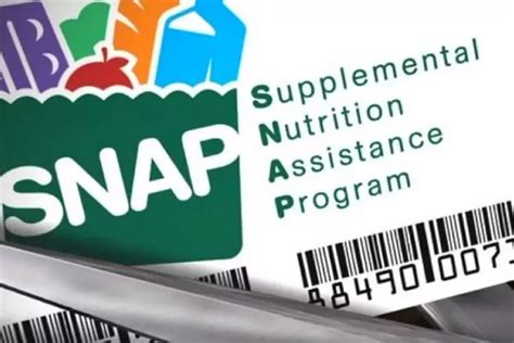 How Long Does It Take for Food Stamps to Be Approved? A Detailed Analysis